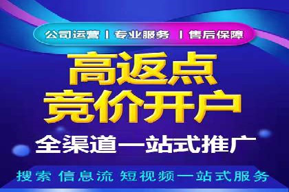 信息流广告投放公司案例分析报告